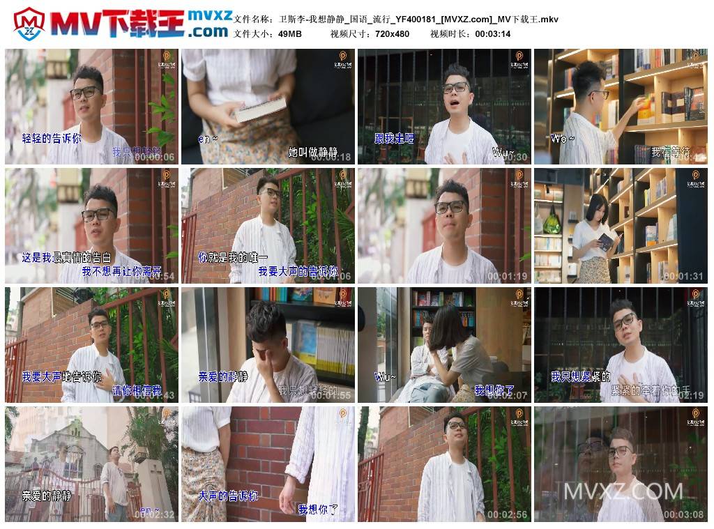 卫斯李-我想静静_国语_流行_YF400181